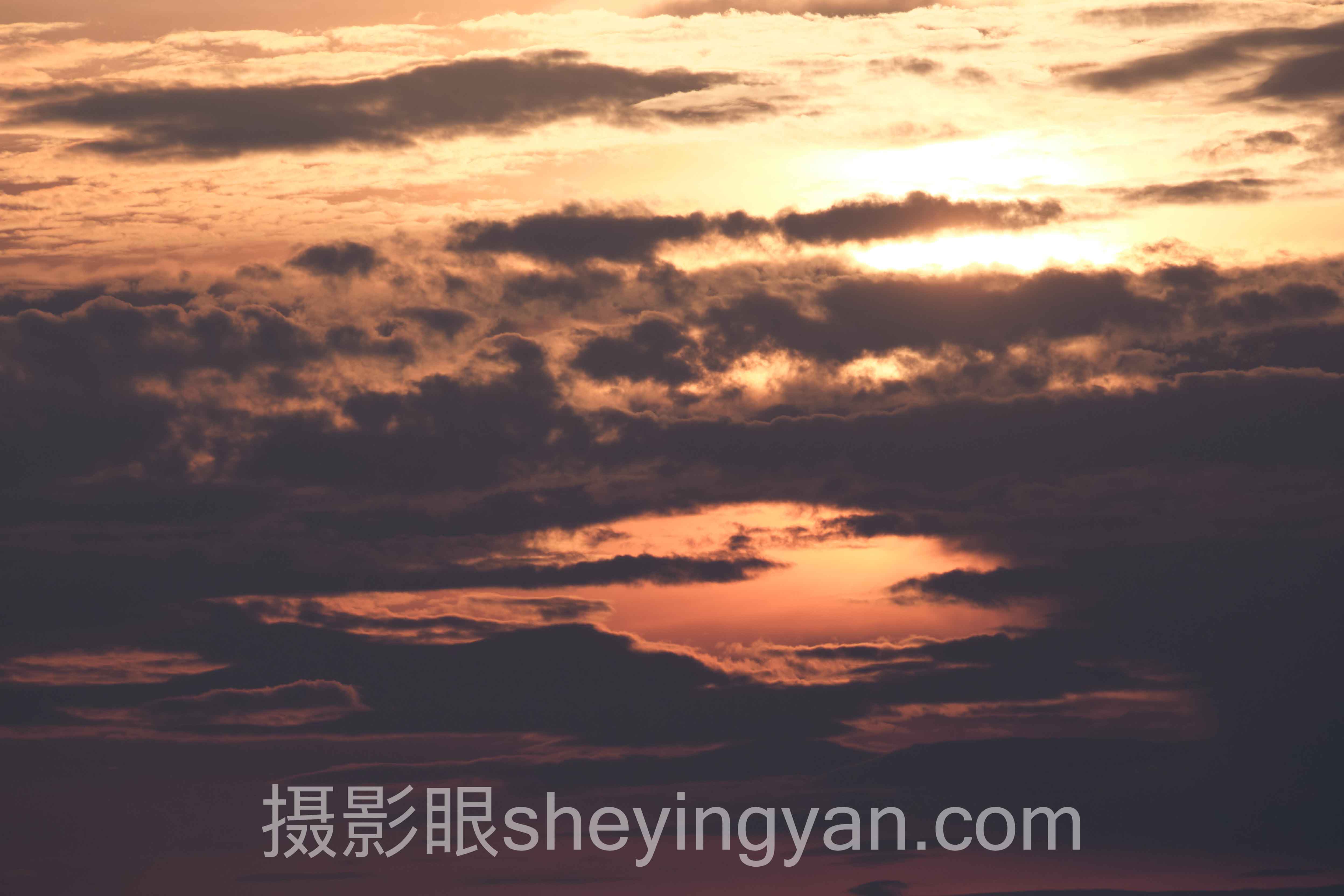 选「摄影眼网址怎么用」不踩坑：5维度对比指南