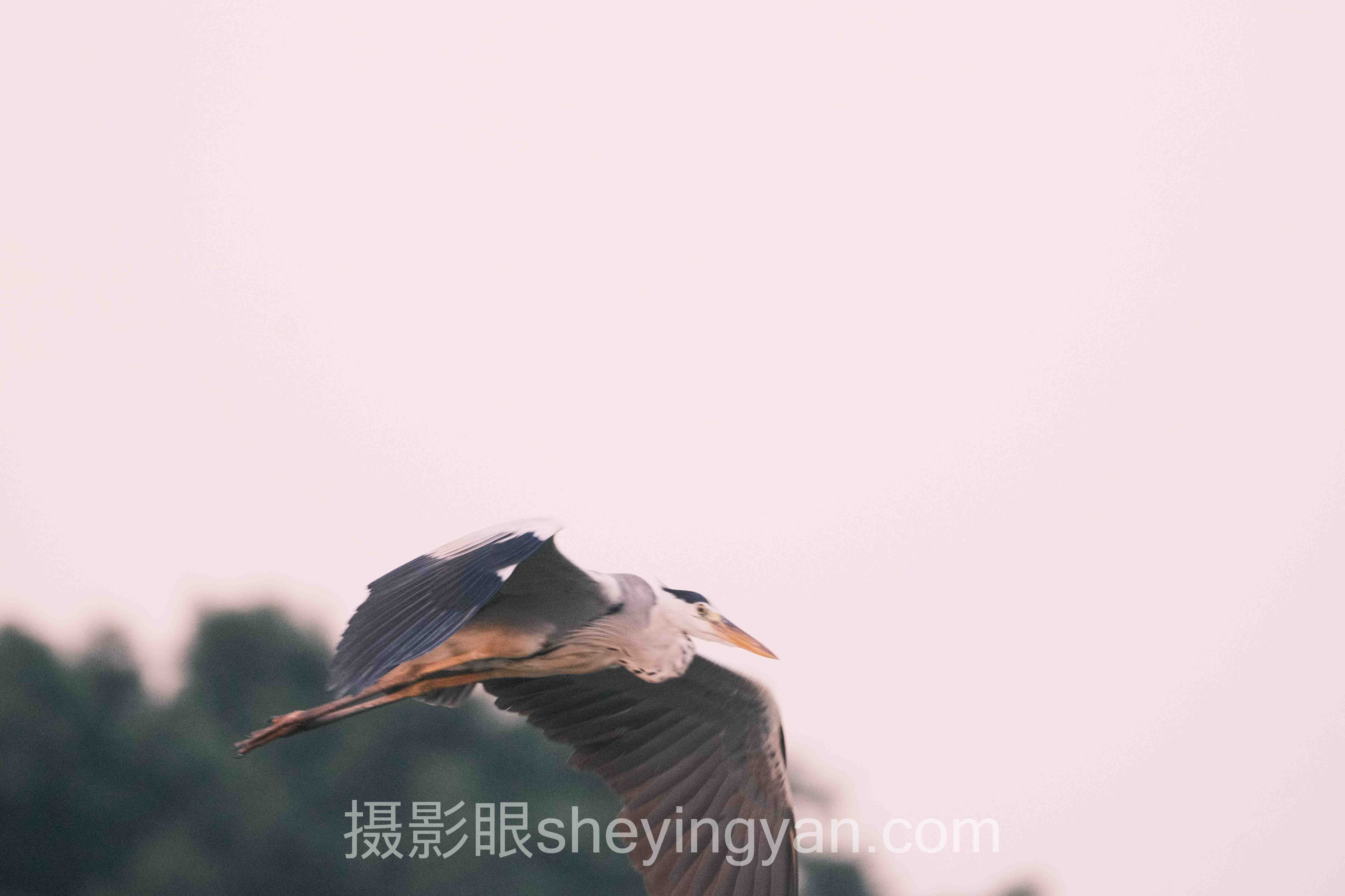求大佬点评风光照片主流方案横向对比：哪个更适合你？