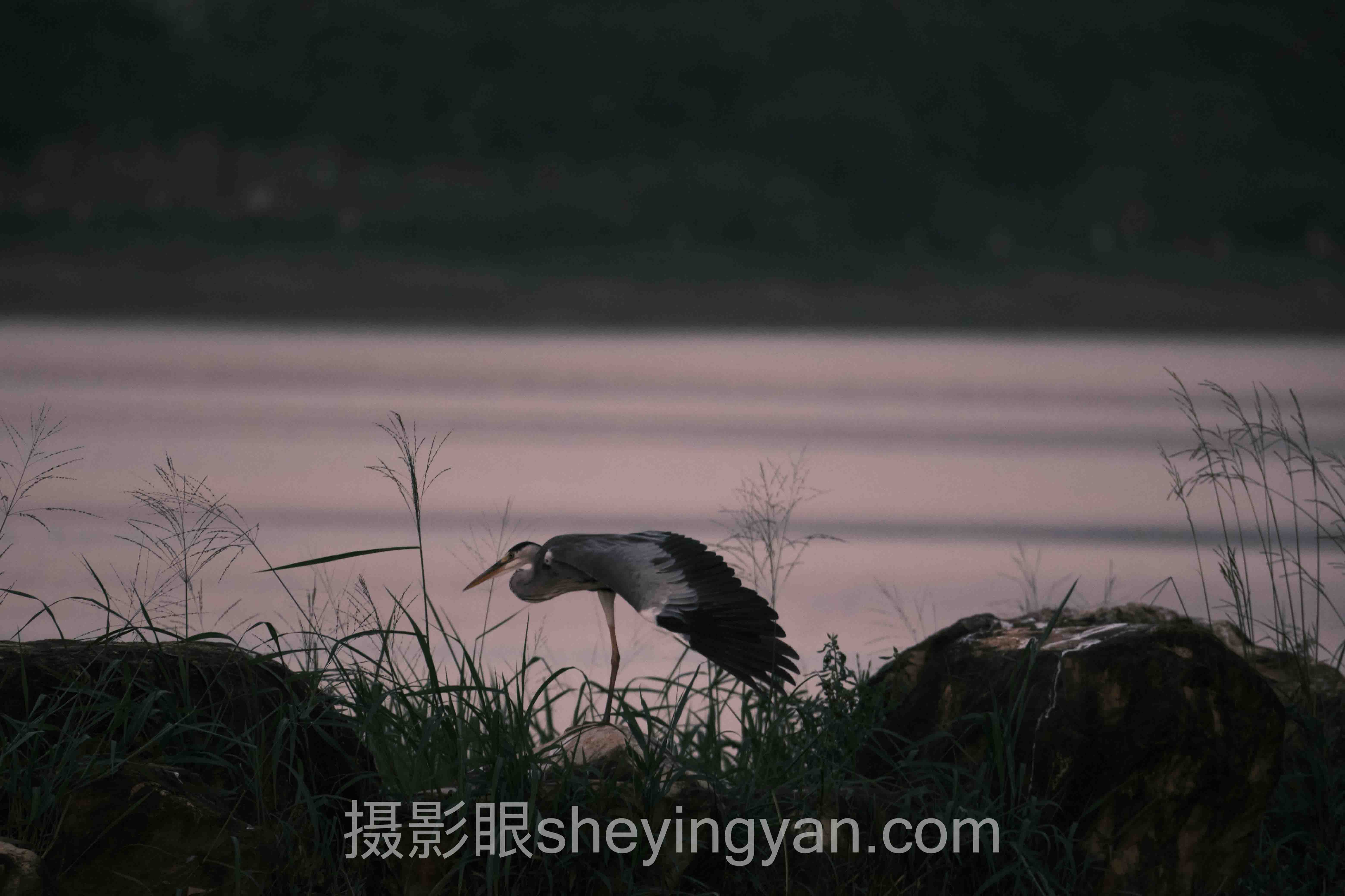 摄影眼测试app