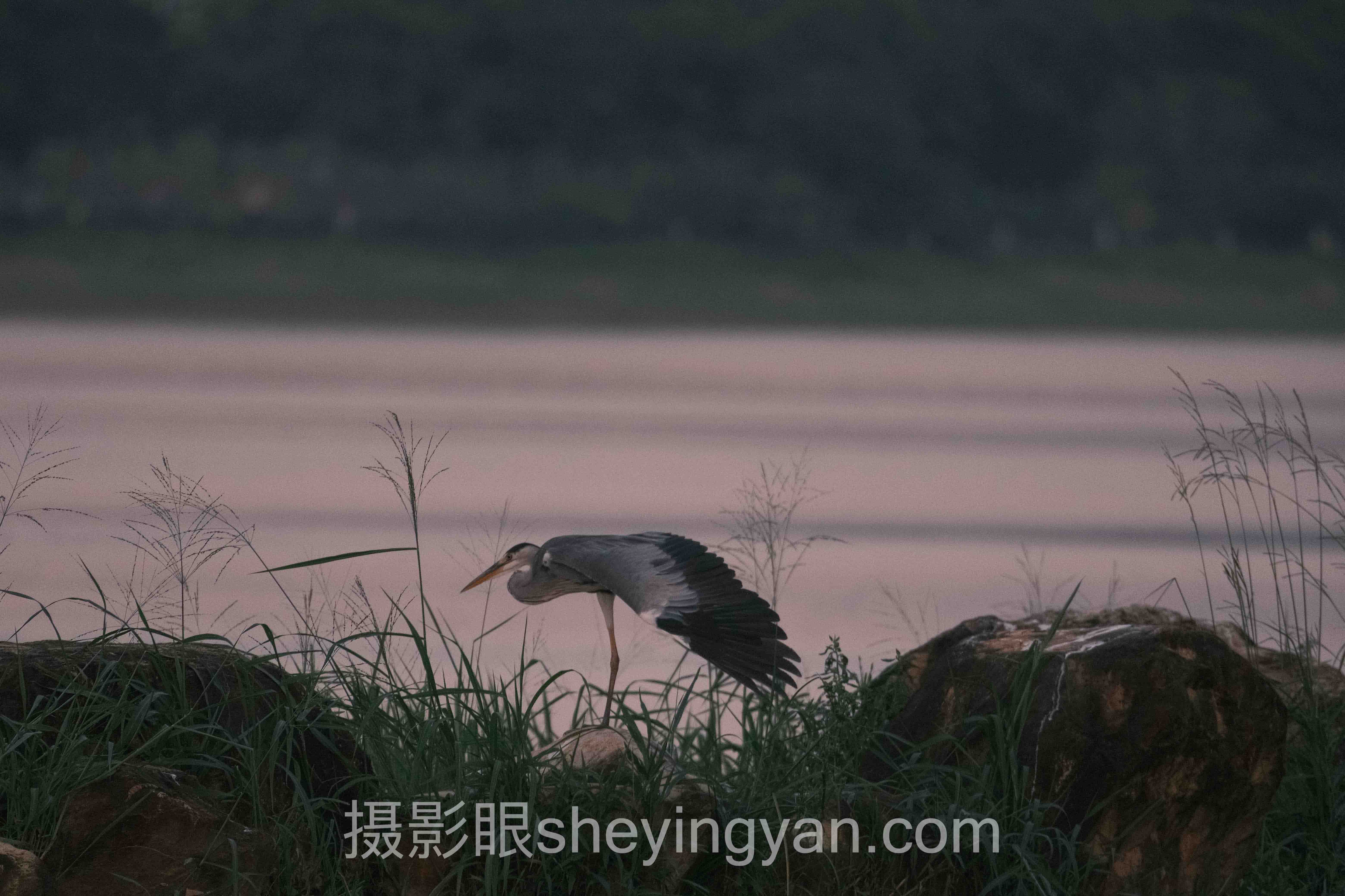 摄影眼测试结果分析：主流照片点评方案横向对比，哪个更适合你？