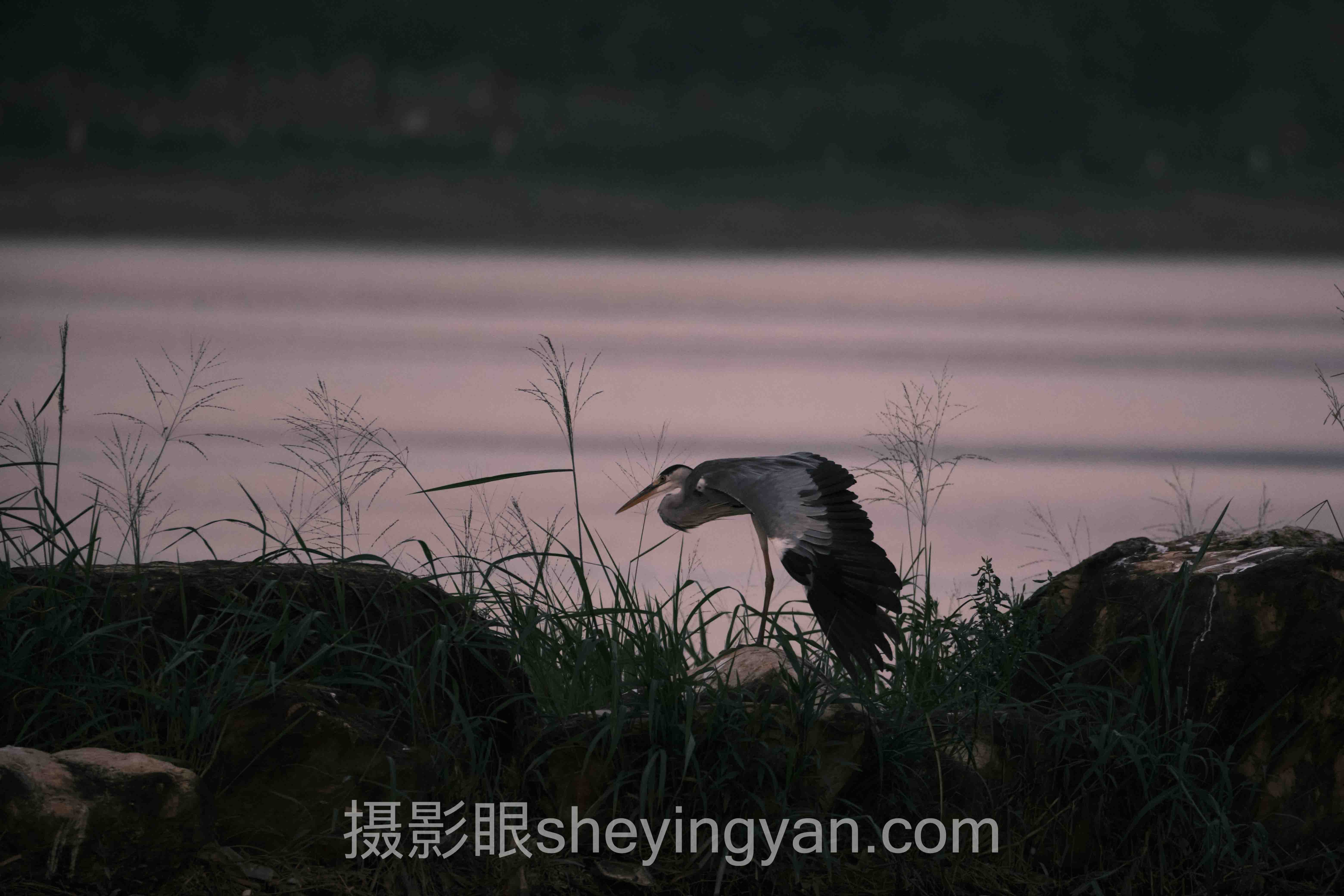 深度解析：逆光拍剪影怎么拍的核心问题与答案