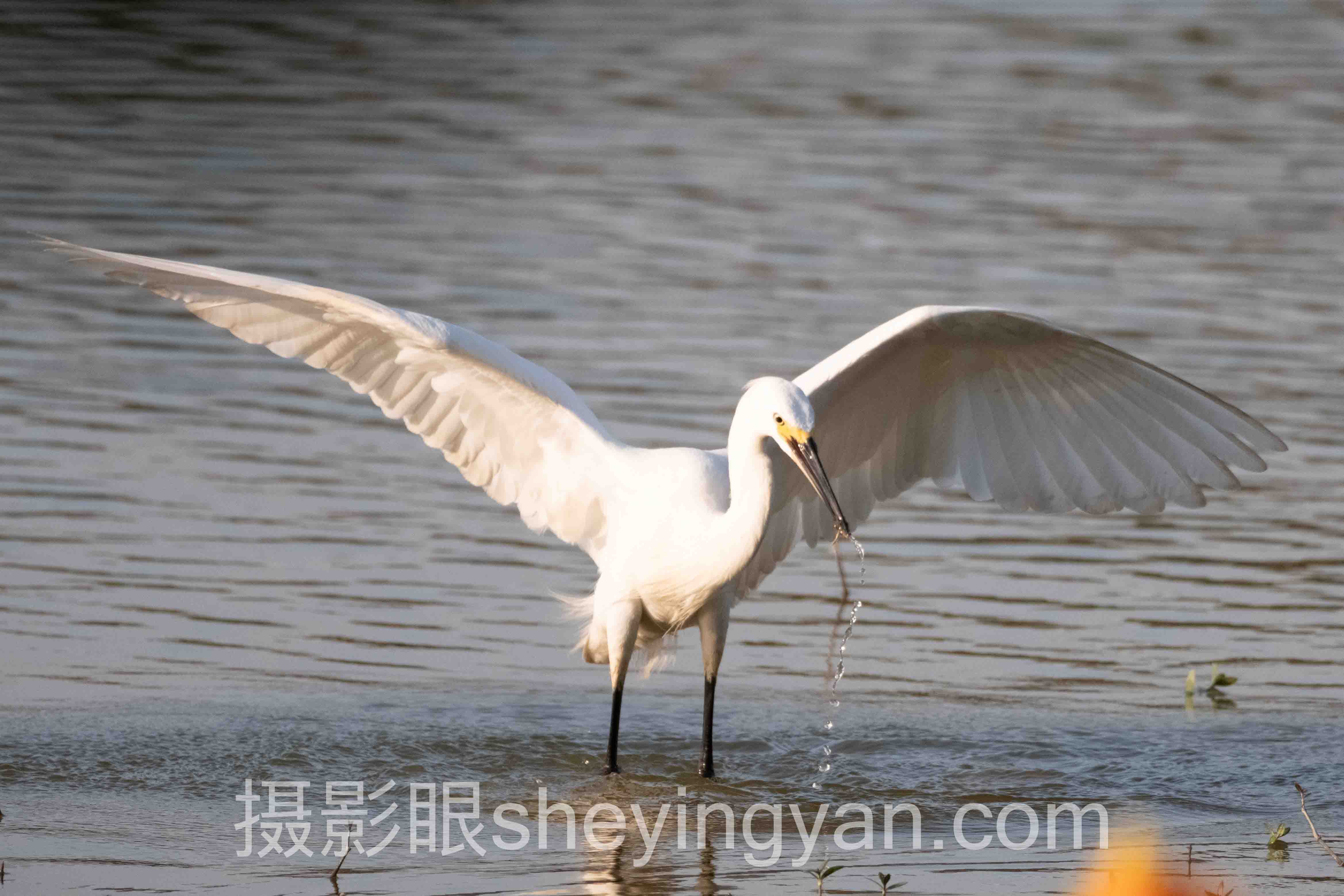 照片点评怎么练？3个真实案例拆解摄影眼训练法